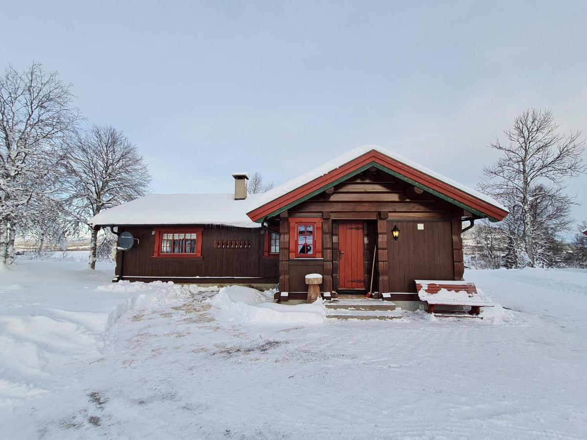 Brennabu Villa Ron Exteriör bild