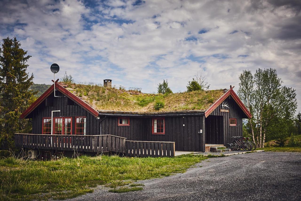 Brennabu Villa Ron Exteriör bild
