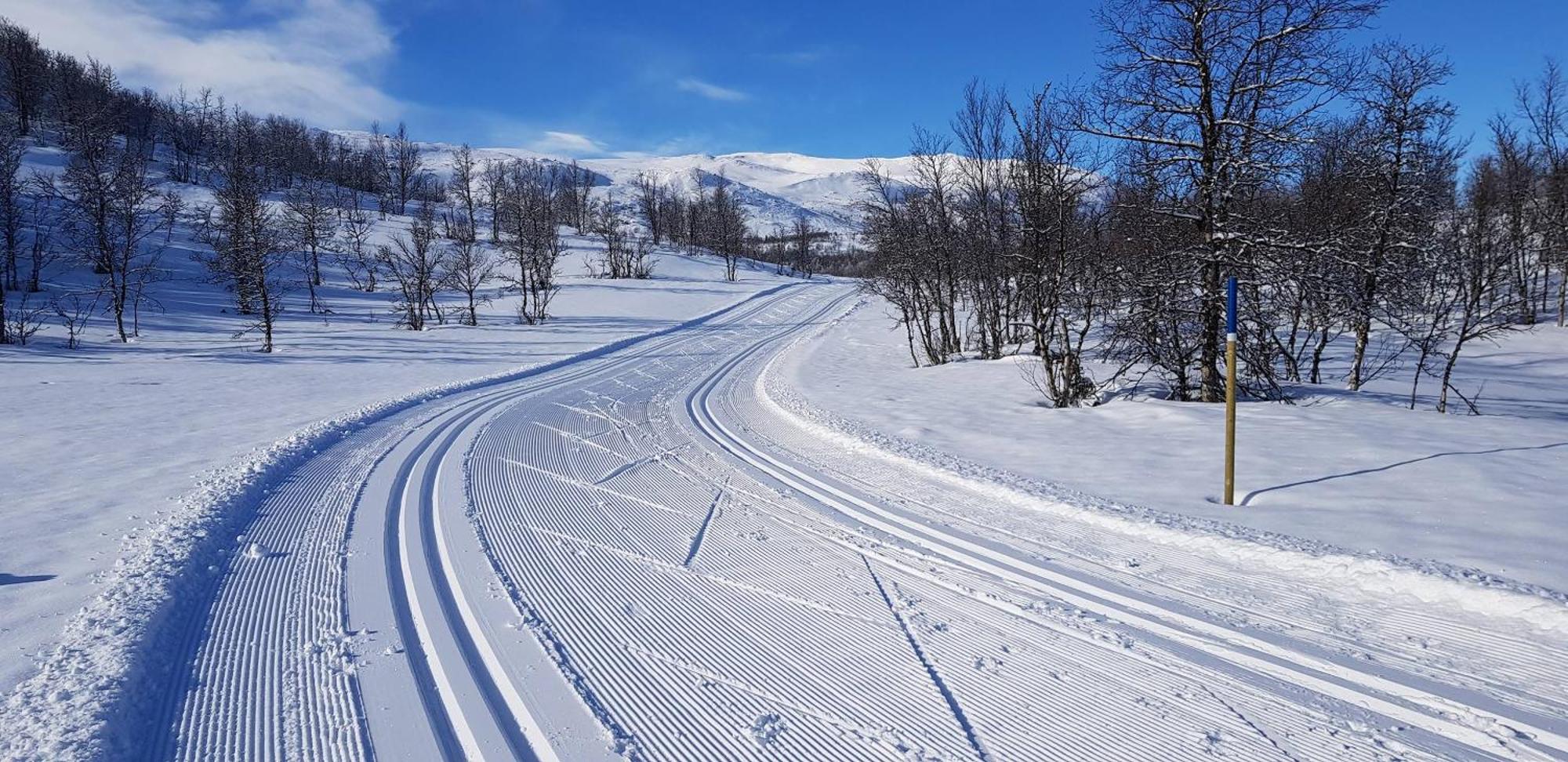 Brennabu Villa Ron Exteriör bild